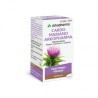 CARDO MARIANO ARKOPHARMA 390 mg 84 CAPSULAS