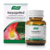 HARPAGOMED 480 mg 60 COMPRIMIDOS RECUBIERTOS