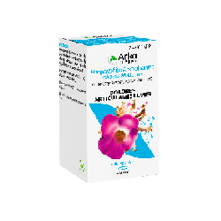 HARPAGOFITO ARKOPHARMA 435 mg 48 CAPSULAS