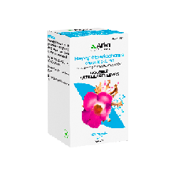 HARPAGOFITO ARKOPHARMA 435 mg 168 CAPSULAS