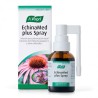 ECHINAMED PLUS SOLUCION PARA PULVERIZACION BUCAL 1 ENVASE 30 ml