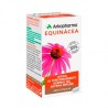 EQUINACEA ARKOPHARMA 250 mg 200 CAPSULAS