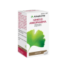 GINKGO ARKOPHARMA 180 mg 200 CAPSULAS